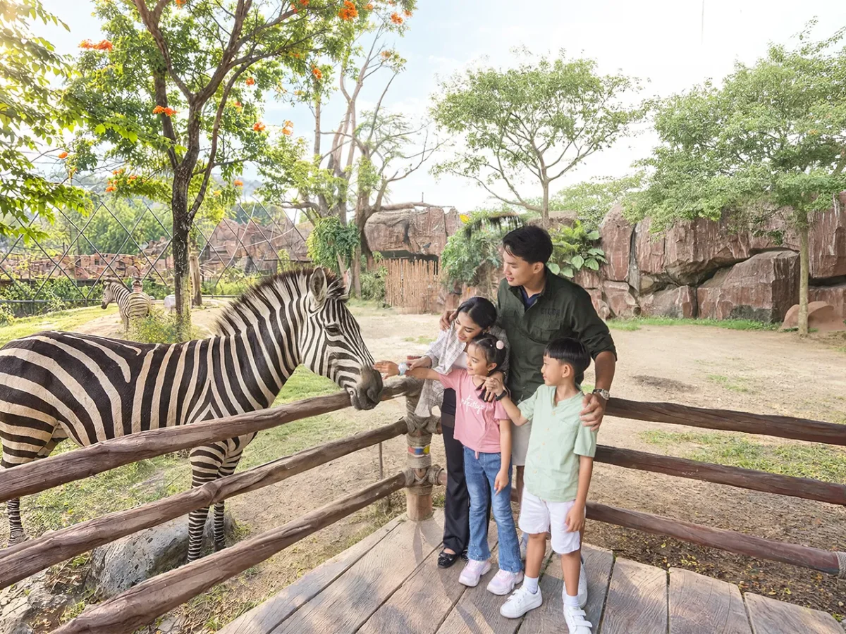 Africa Adventure - Experiences