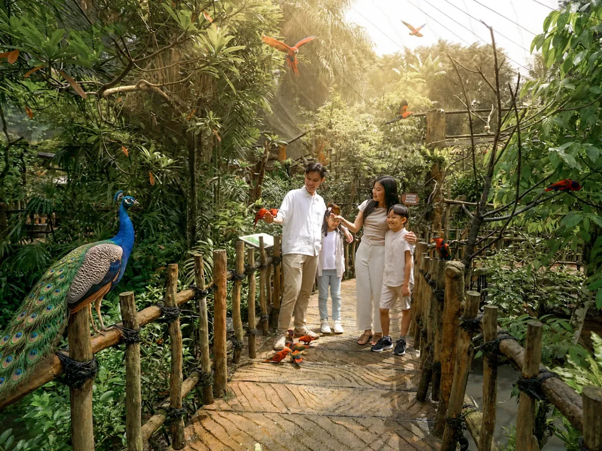 Bird Park - Experiences