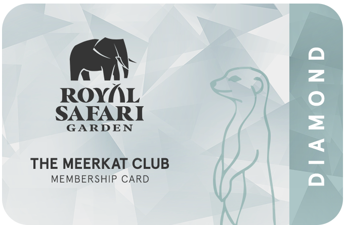 Royal Safari Garden - Card Diamond
