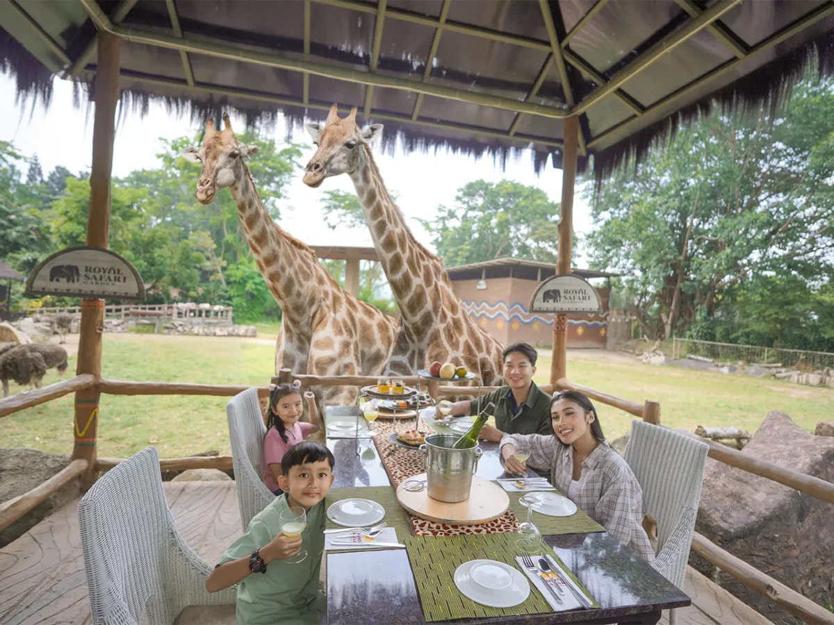 Dine with giraffe -Experiences