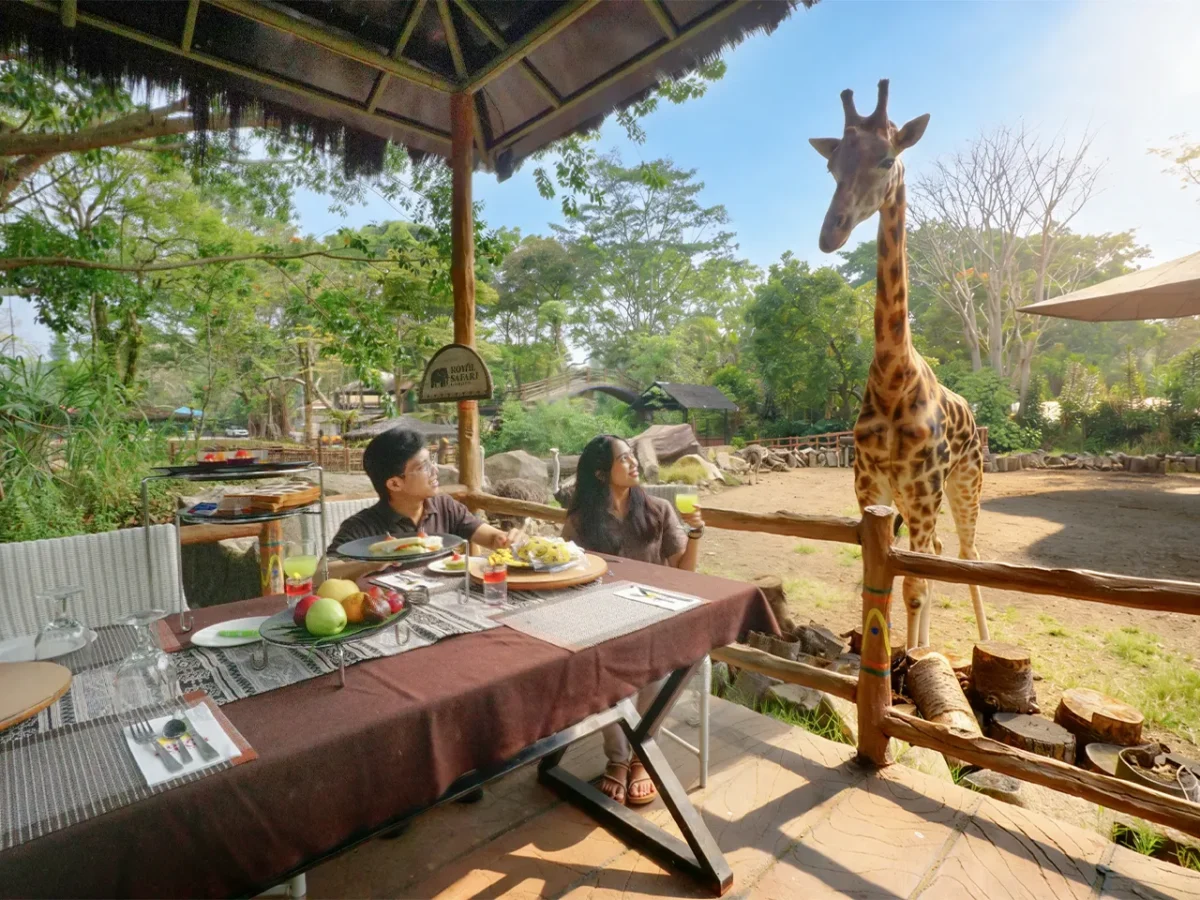 Dine with giraffe -Experiences