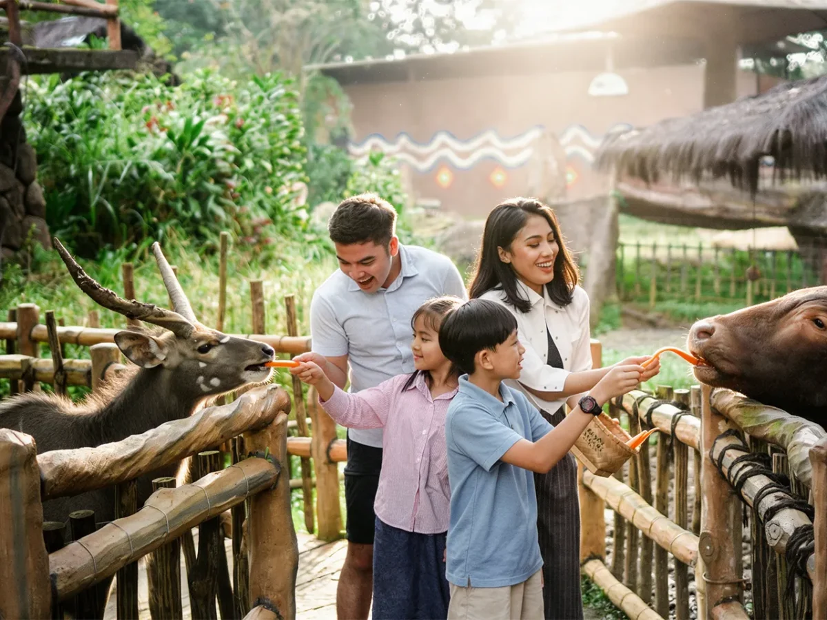 Herbivore feeding - Experiences