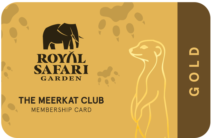 Royal Safari Garden - Card Gold