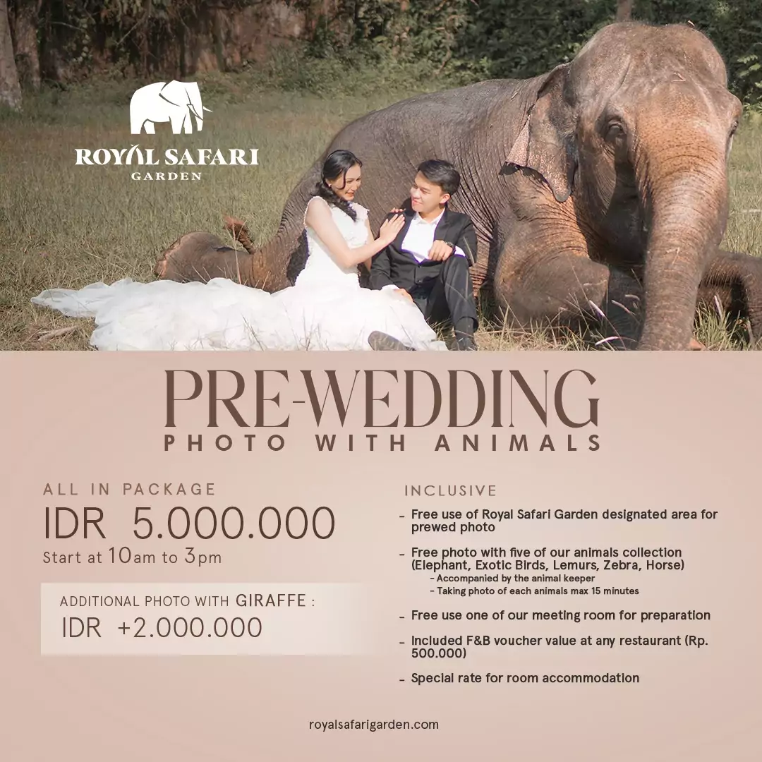 Prewedding Photoshoot with Animals for a Unique Memory