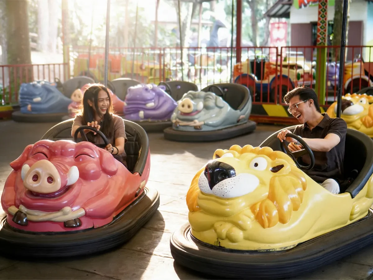 Recreation Rides - Experiences