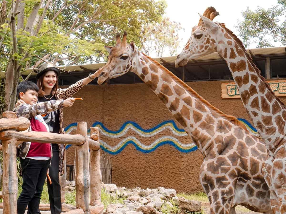 Royal Safari Garden - Experiences