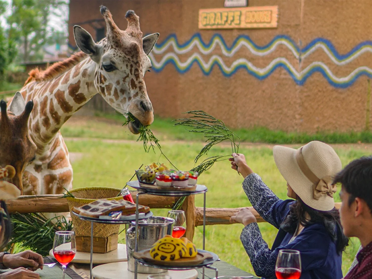 Royal Safari Garden - Experiences