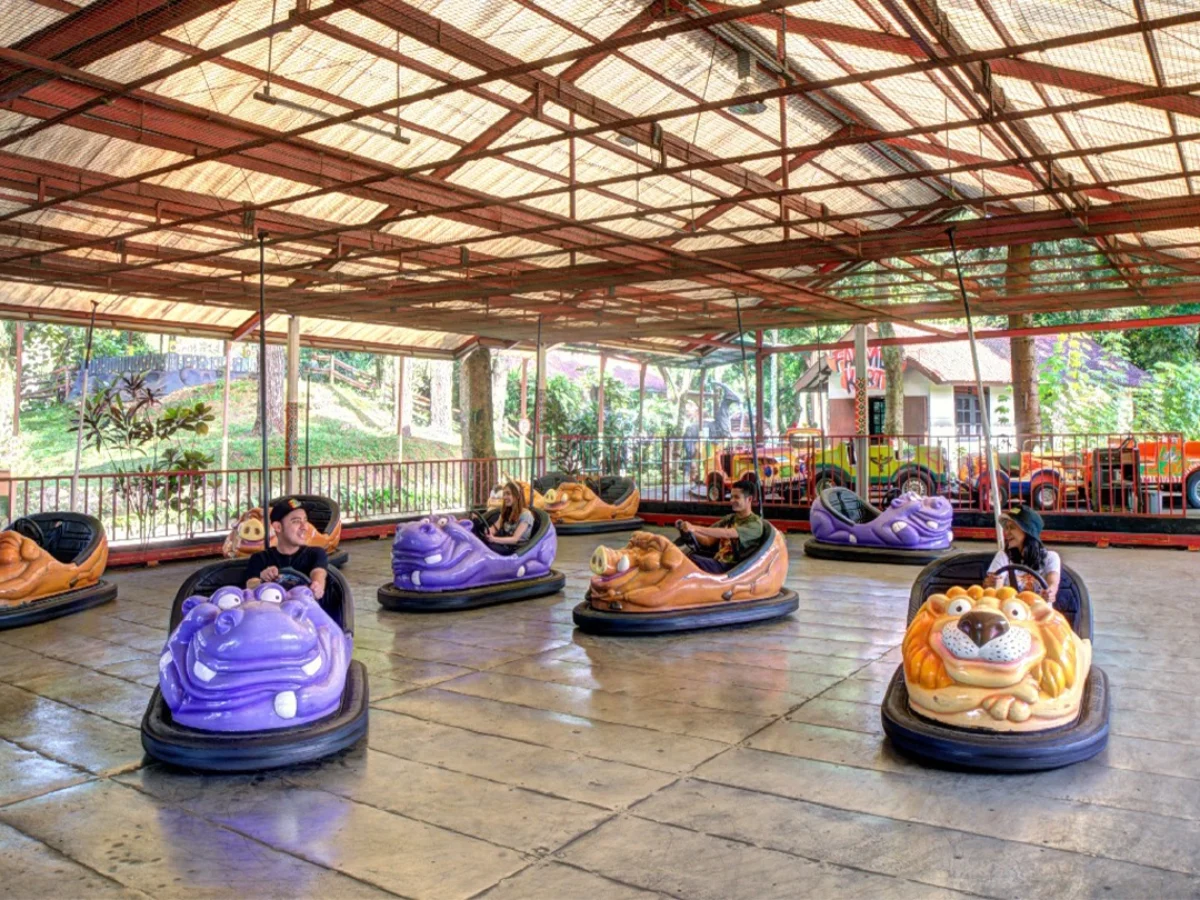 Royal Safari Garden - Recreation Ride