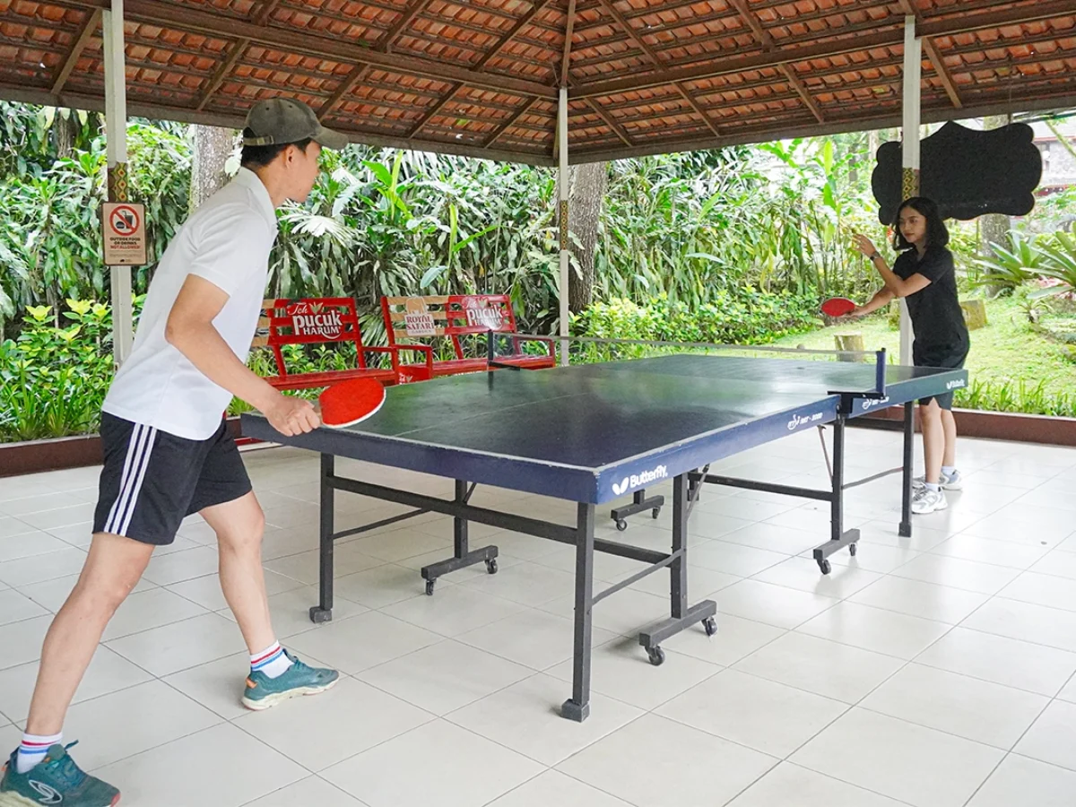 Royal Safari Garden - Sport Recreation