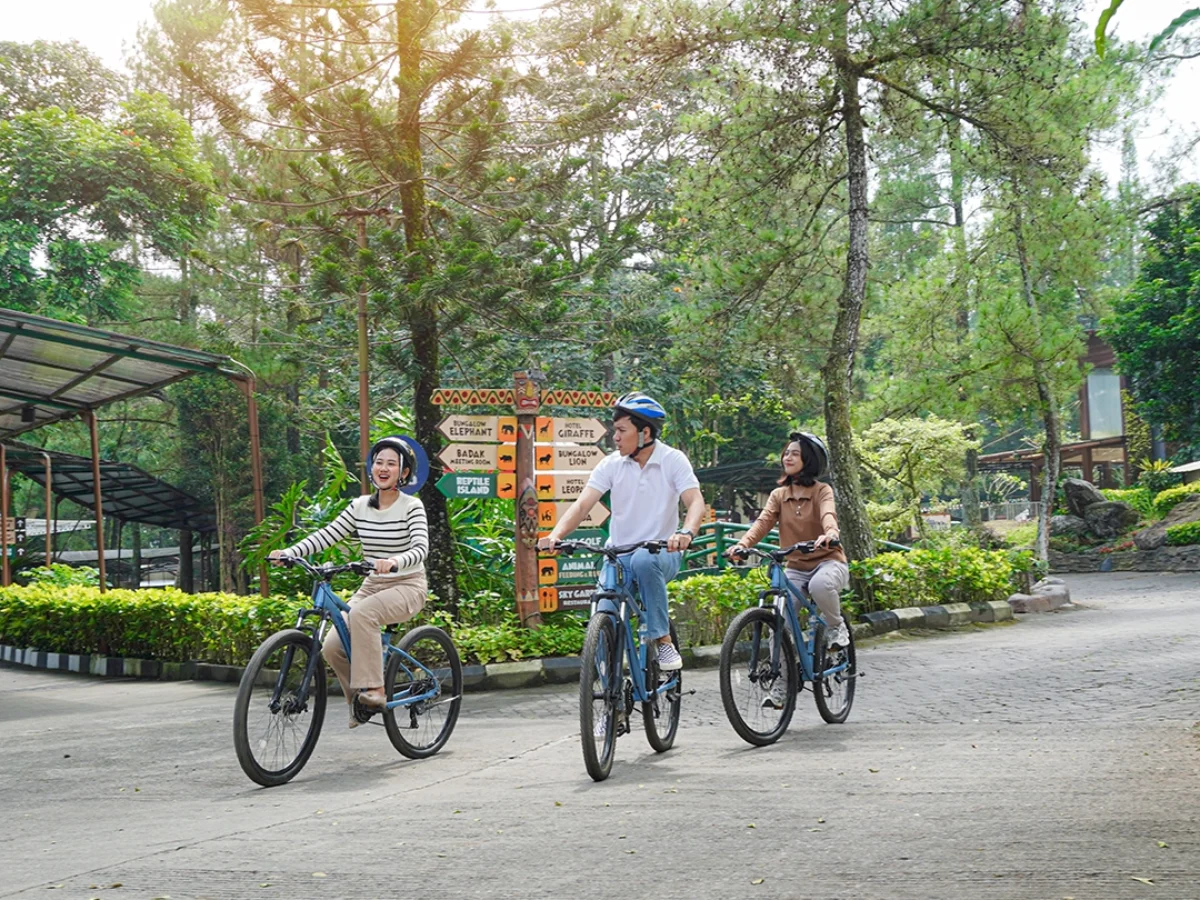 Royal Safari Garden - Sport Recreation