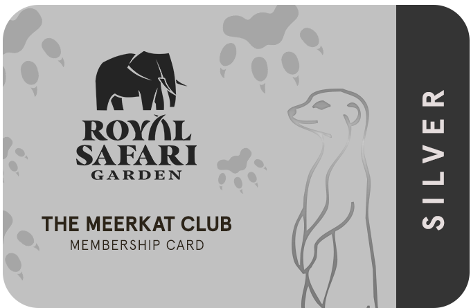 Royal Safari Garden - Card Silver
